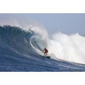 Kitty Burke's photo