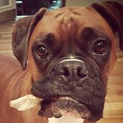 Eric Moderbacher's photo