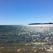 Maria Steinig's photo