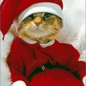 Shana Smith's photo