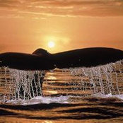 Dave Parrish's photo