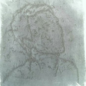 Foto de com