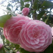 Marilyn Sitaker's photo
