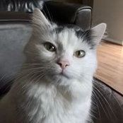 Gemma Bourton's photo