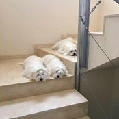 Stefania Pertusato's photo