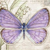 Jackie Hyder's photo