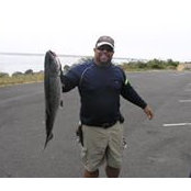 Terry L Dawson's photo