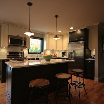 Felch Street House