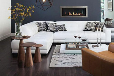 Example of a minimalist living room design in Los Angeles