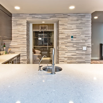 Contemporary Urban Infill