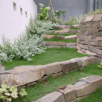 Modern Lifestyle & Water Garden