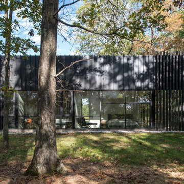 Shibumi House