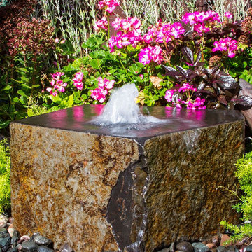 Tamaishi Zenshu Fountain Kit