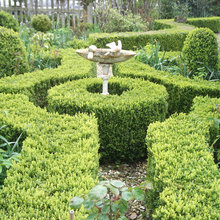 Ask an Expert: Things to Consider When Choosing a Garden Designer