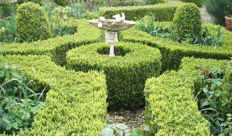 Ask an Expert: Things to Consider When Choosing a Garden Designer