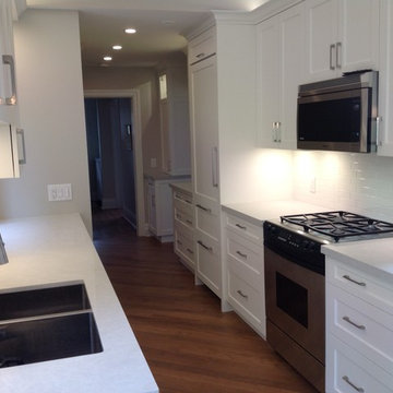Leaside Kitchen & Powder Room