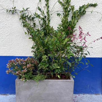 Aménagement de terrasse