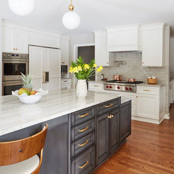 Beautiful Kitchen in Mount Prospect