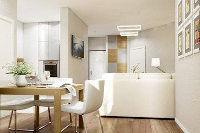 Trendy living room photo in Chicago