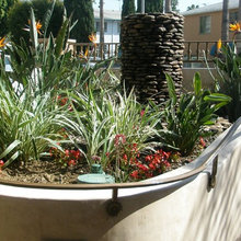 Landscape Ideas