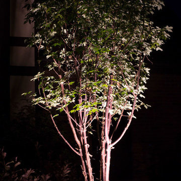 Low Voltage LED spot light