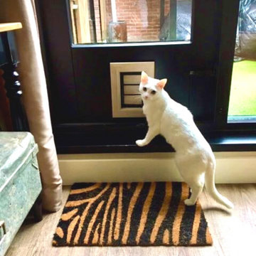 Cat door - Felix - extra small