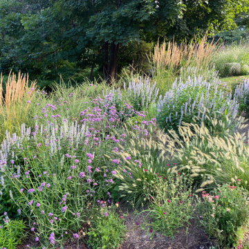 Wild Pollinator Garden