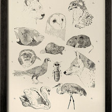 House Decor