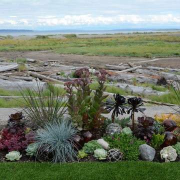 Contemporary Seaside Garden