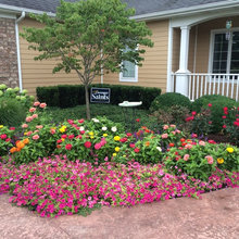front of house garden