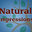 Natural Impressions Landscaping