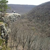 Brenda Rodgers's photo