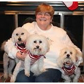 Kathy Blumer's photo
