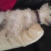 Beverley Hague's photo