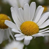 Cathie Herbert's photo