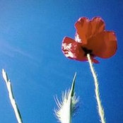 Photo de Sandra Duvnjak