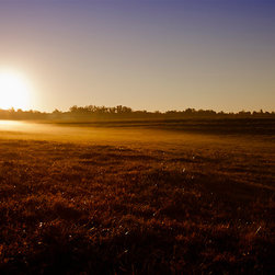 Fine Art Decor_Landscape - Artwork