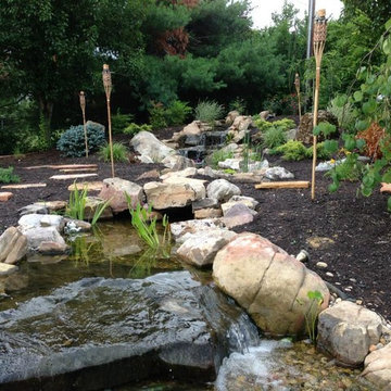 Backyard Oasis