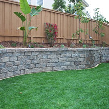 Landscape Ideas