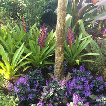 Favorite Plants
