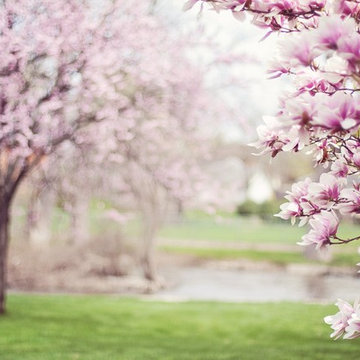 Milford, CT - Spring Landscaping & Lawn Care