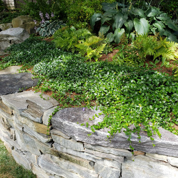 Design around existing trees