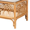 Paigey Natural Brown Rattan Bench