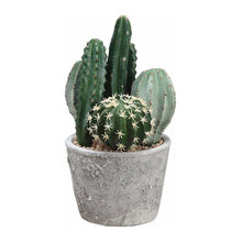 Wish List