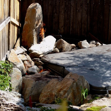 Shell Beach Woodland Stream