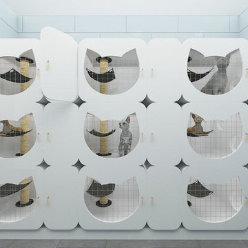 VetDora Veterinary Clinic // Build + Design