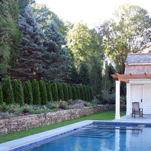 Pool and Landscape