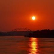 Diane Seliga Swisher's photo