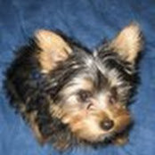 ethan fulton's photo