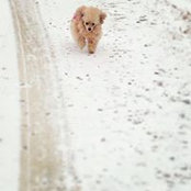 Charlie Byrum's photo